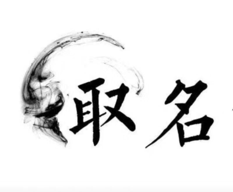  阿拉善左宝宝取名 大师一对一人工起名